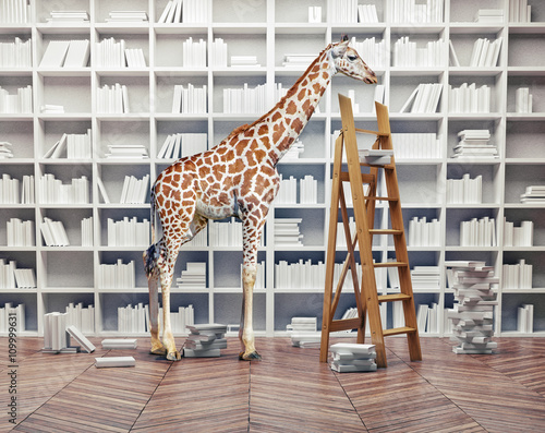 giraffe baby in the  library