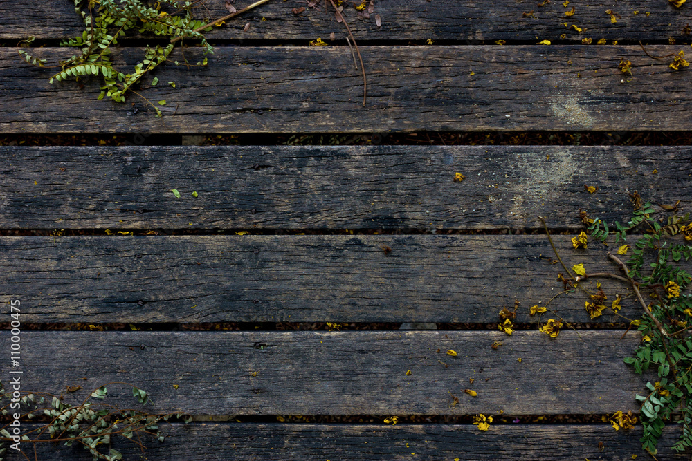 Fototapeta premium Natural wood plank