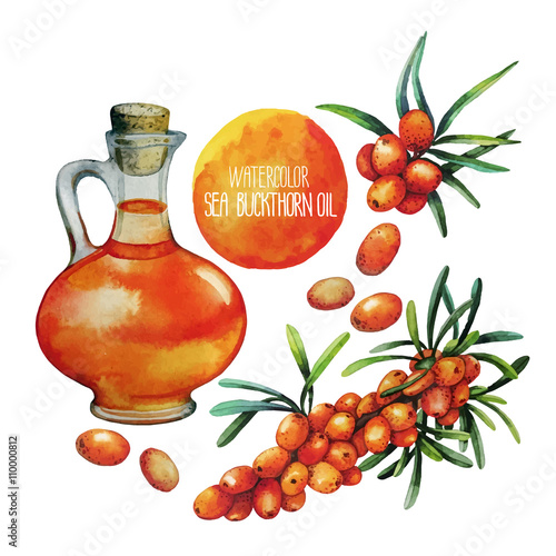 Watercolor sea buckthorn oil jar and berries 