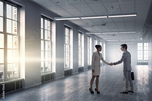 Business partners handshake © Sergey Nivens