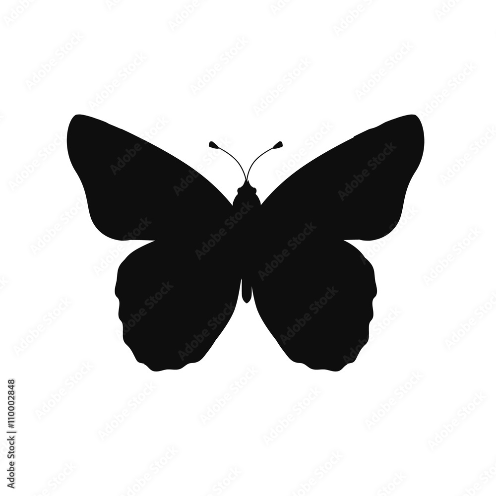 Insects Butterflies Isolated on White Background Insects Butterflies Isolated on White Background