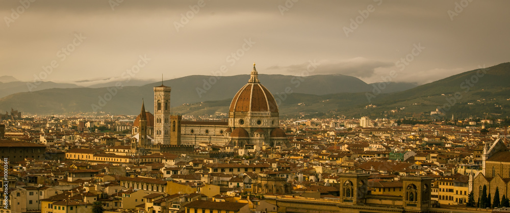 aerial view florence 
