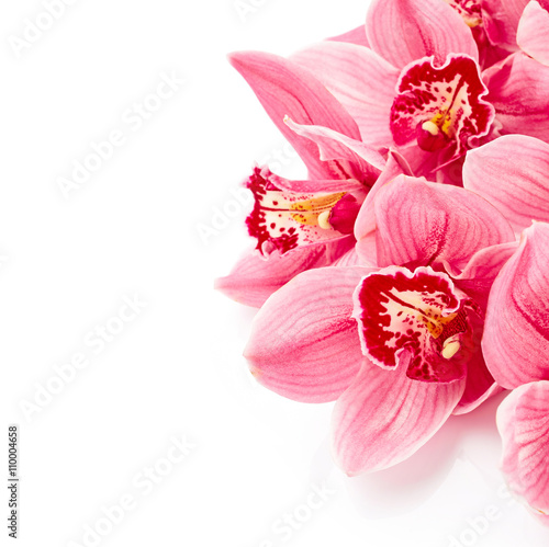 Fototapeta Naklejka Na Ścianę i Meble -  Orchid flowers