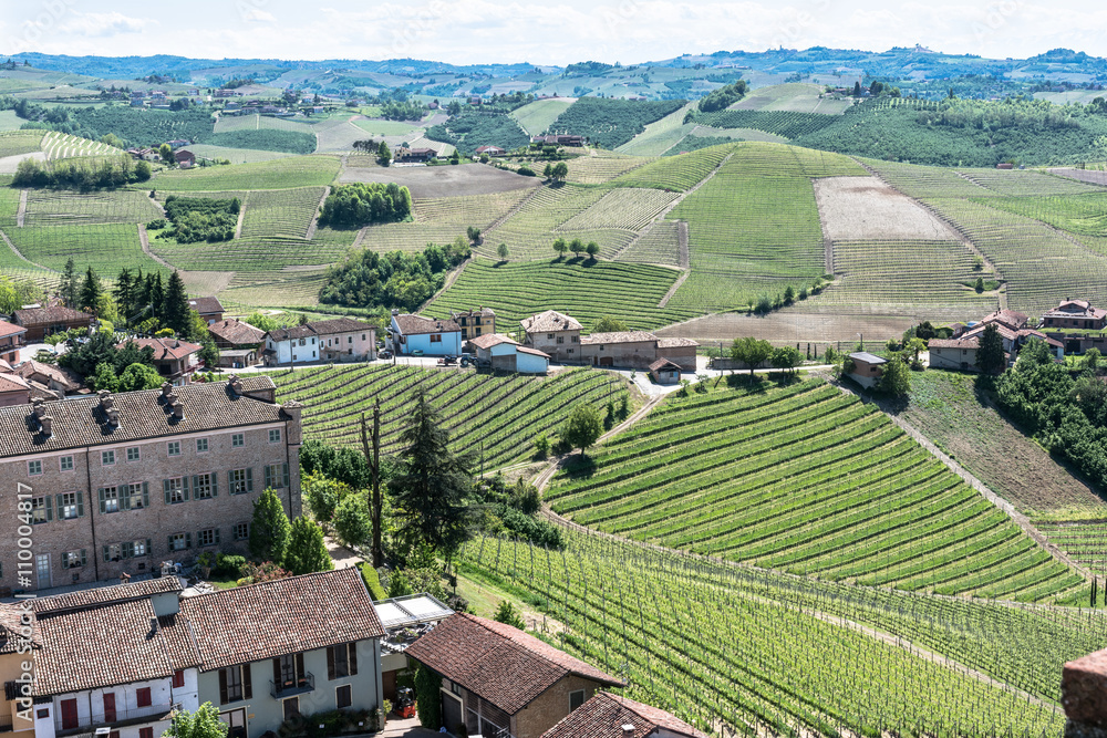 Vineyards and hills in Barbaresco zone, Italy
