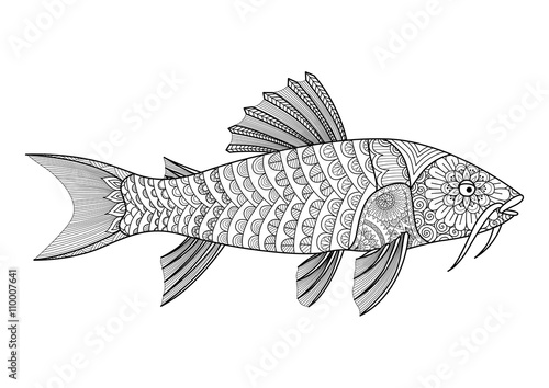  Zentangle stylized of armored catfish for coloring book for adult, T - Shirt graphics, tattoo and so on