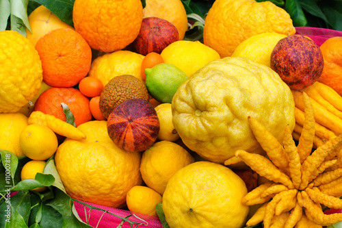 a variety of citrus fruits