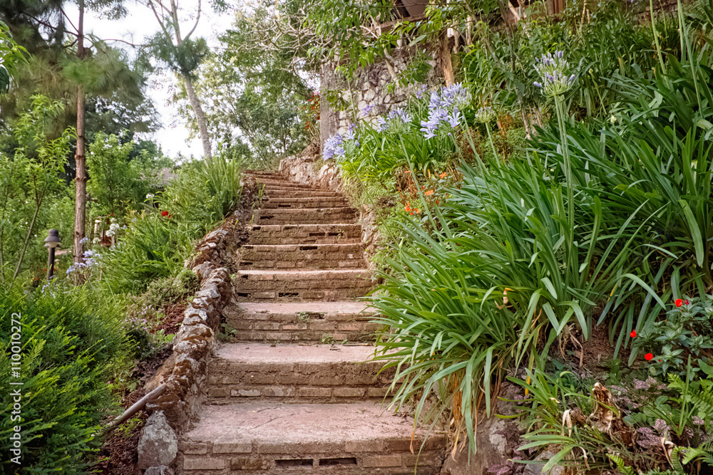 Pathway with beautiful flowers on side in the garden