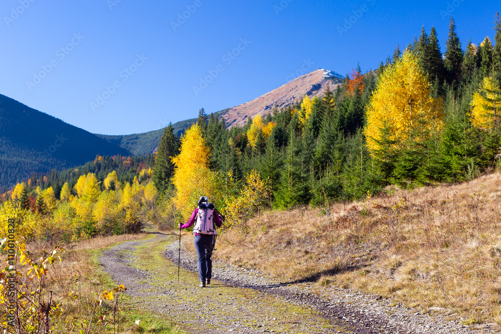 Female Hiker Walking on Pathway in Autumnal Forest