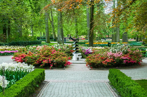 Alley among colorful tulips  Keukenhof Park  Lisse in Holland