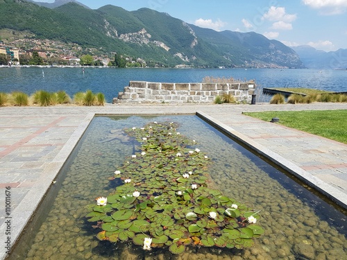 Fontana con ninfee a Sarnico photo