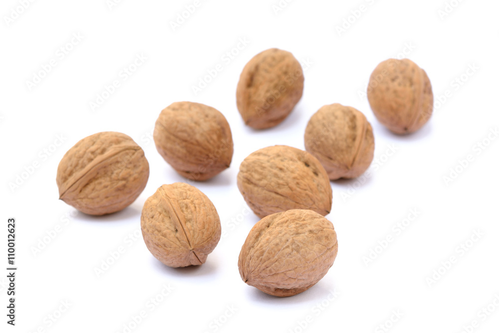 Walnuts in shell isolated on white background Walnuts in shell isolated on white background