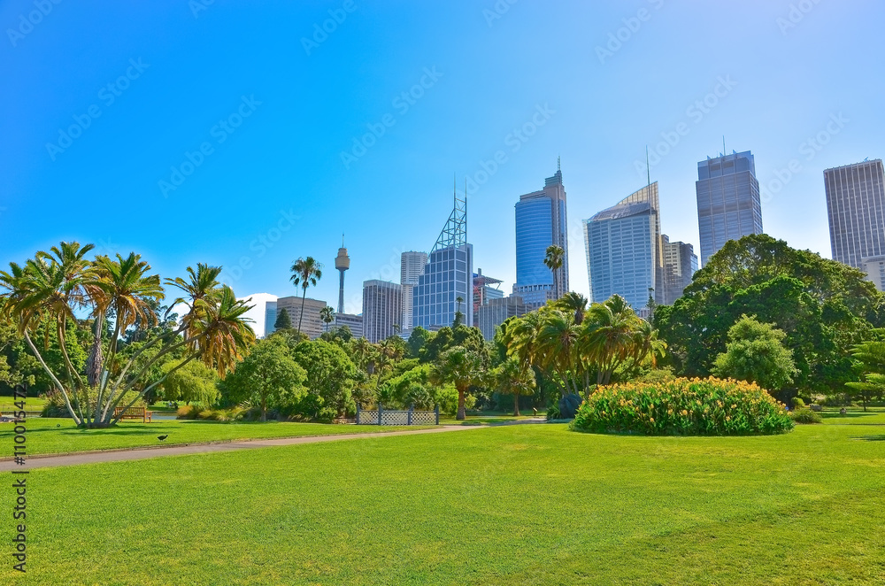  View of Sydney skyline from Royal Botanic Gardens