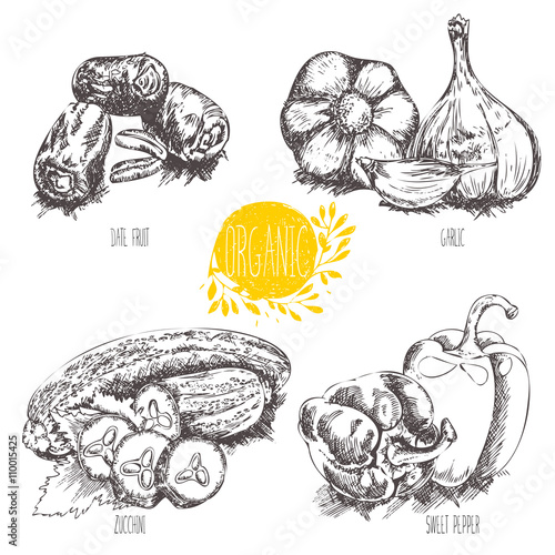 Collection of hand-drawn organic vegetables, fruit, foods. Vector illustration in vintage style.