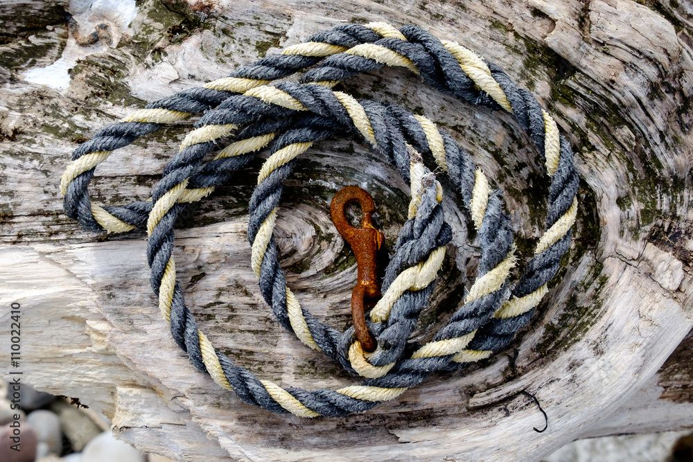 Rope on driftwood 3