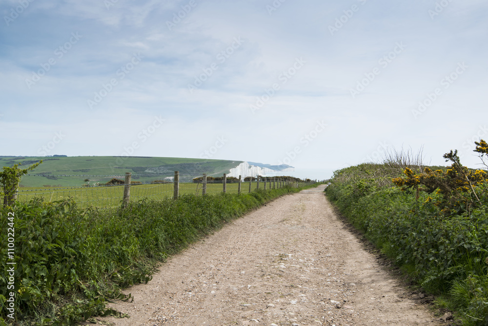 Seven Sisters Cliffs in South Downs in East Sussex, between the towns of Seaford and Eastbourne in southern England.
