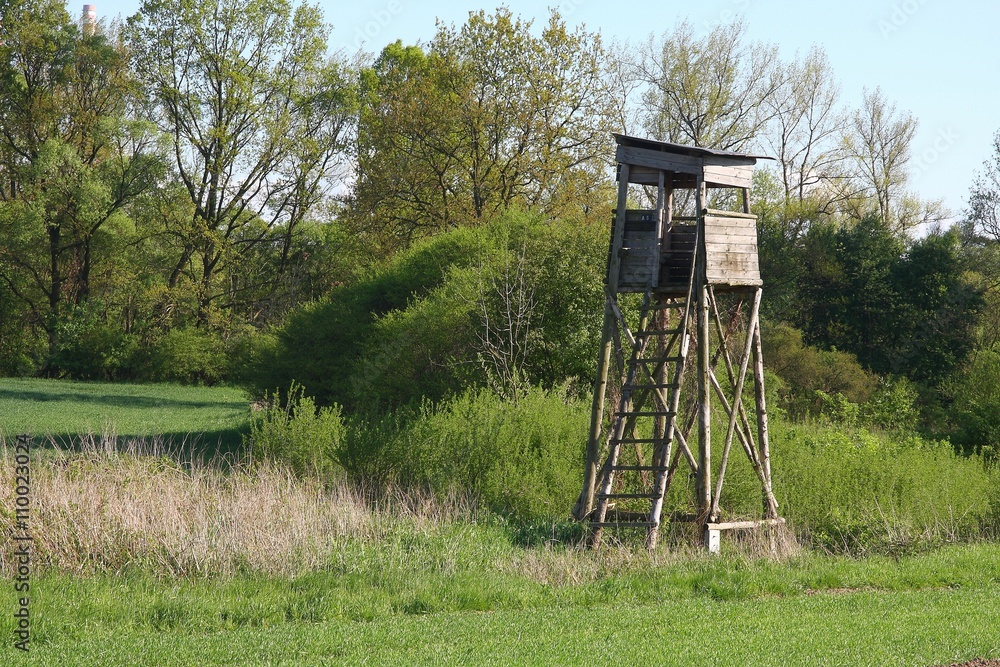 Hunting blind guards the field of corn