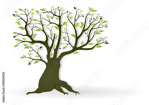 Olive Tree Illustration - Abstract Colored Vector