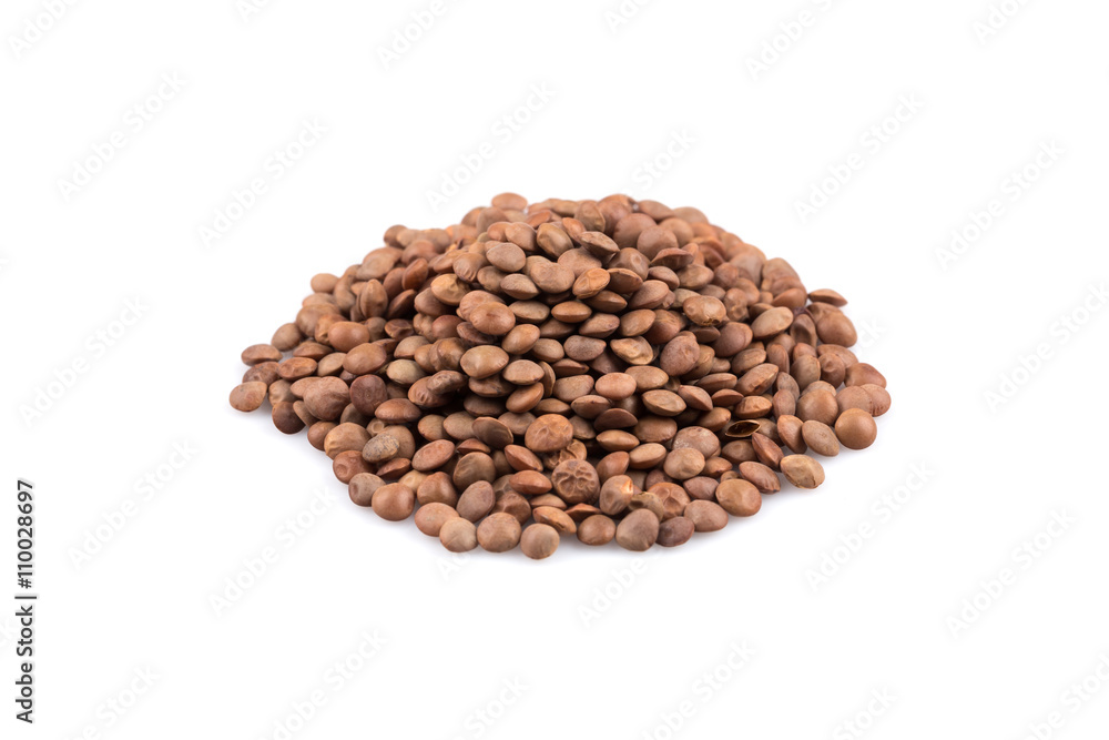 Lentils Isolated on White Background Lentils Isolated on White Background