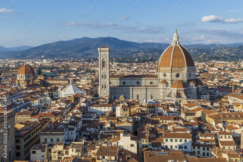 View of Florence from the tower of Arnolfo
