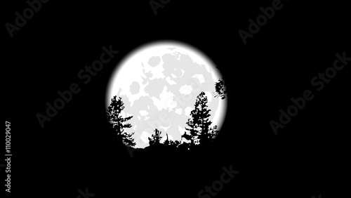 silhouettes of trees on a background of the full moon