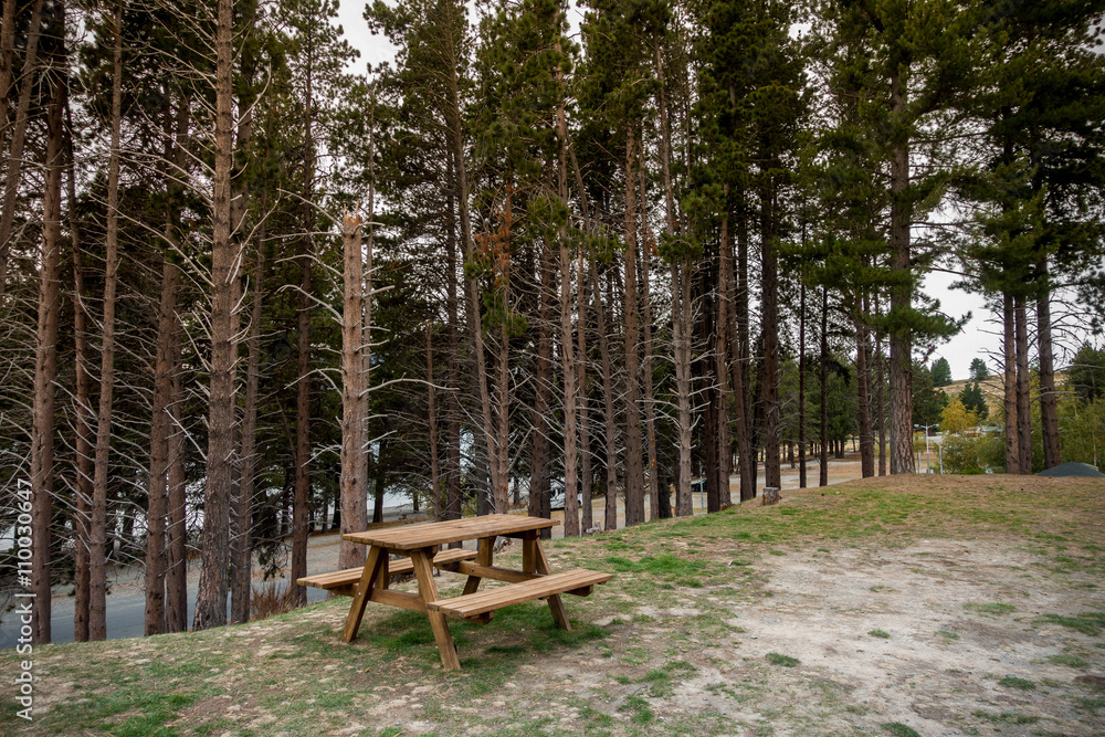 Picnic table in the forest/park in New Zealand Picnic table in the forest/park in New Zealand