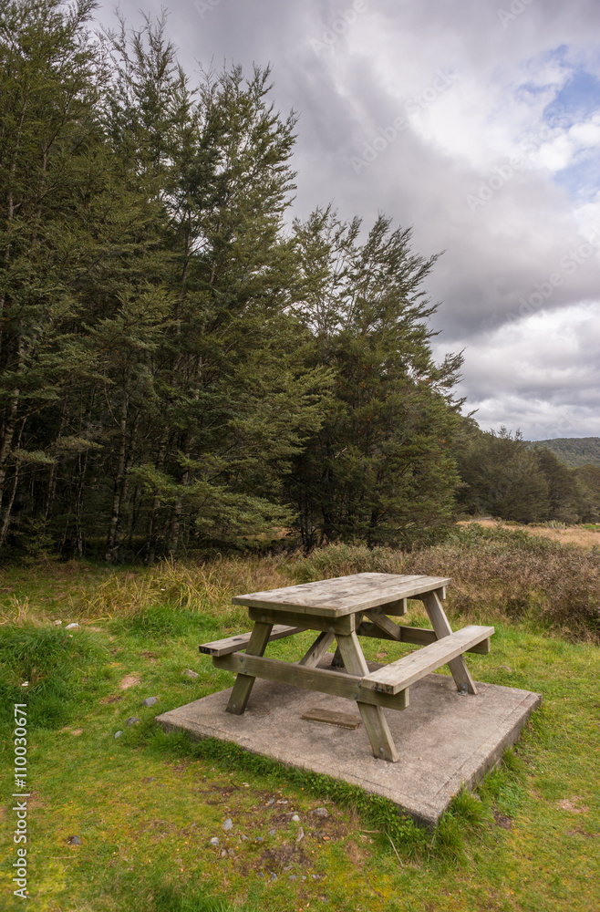 Picnic table in the forest/park in New Zealand Picnic table in the forest/park in New Zealand