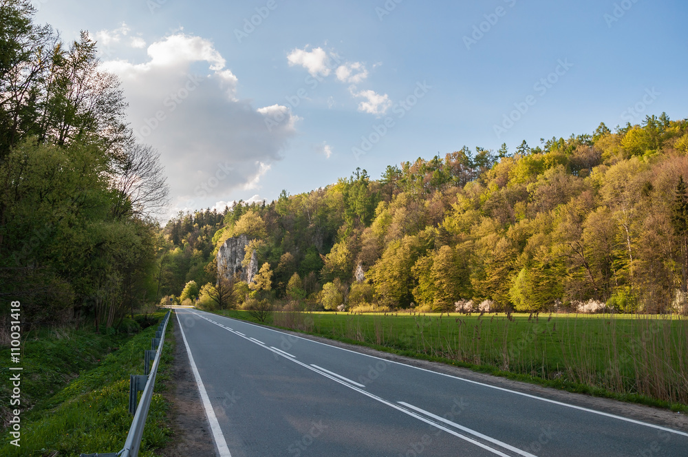 Road amongst the rocks in Ojcow National Park
