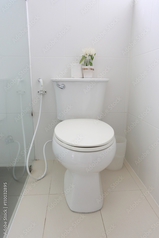 Sanitary ware object of bathroom interior. Sanitary ware object of bathroom interior.