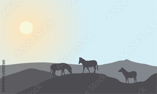 Silhouette of family zebra