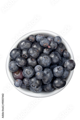 indigo-colored berries