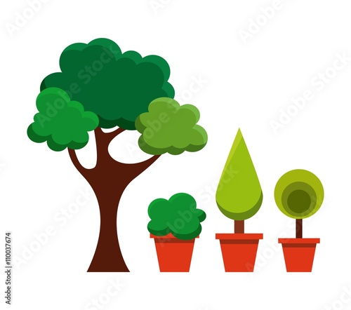 trees in pots design 