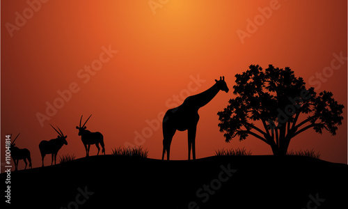 Silhouette of antelope and giraffe
