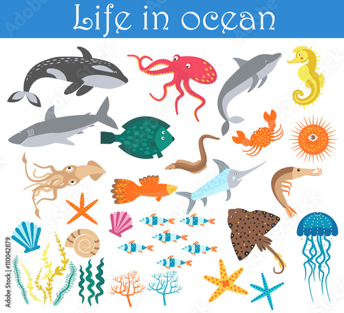 Set of cartoon sea animals fish. Life in ocean collection.