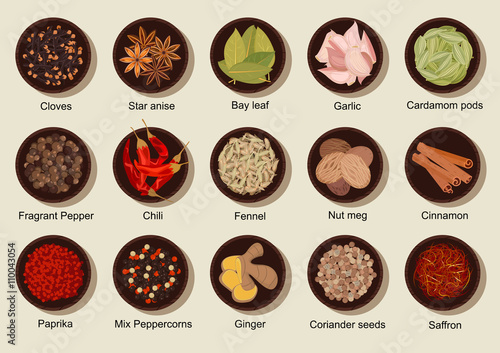 Natural healthy fresh and dried spices flat icon
