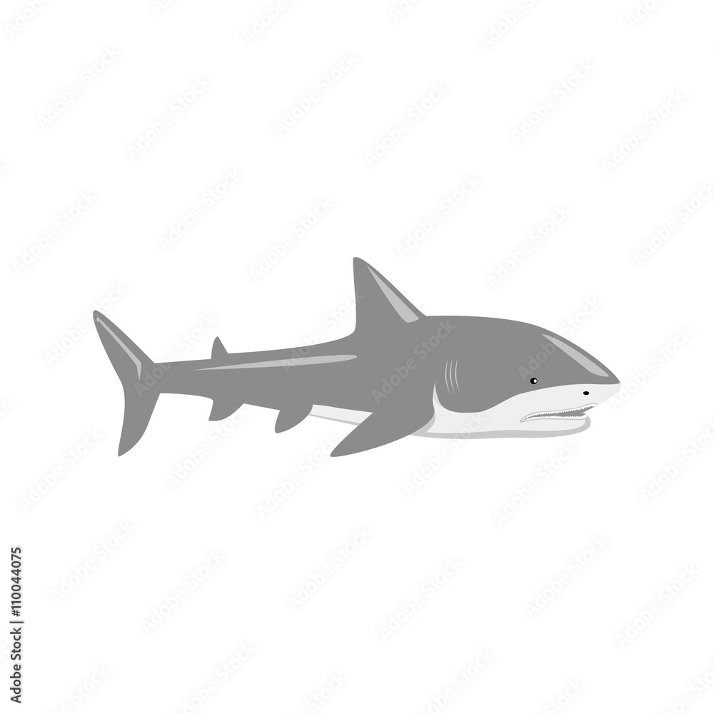 Obraz premium Marine Predator Shark Design Flat