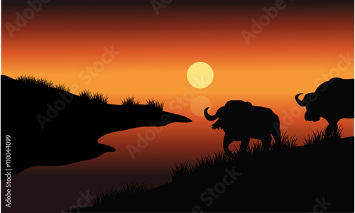 Bison silhouette in riverbank © wongsalam77