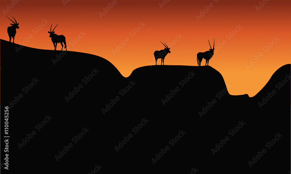 Silhouette of antelope on mountain