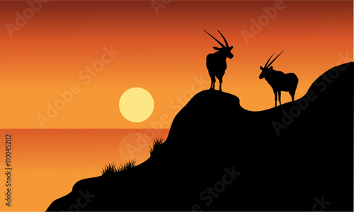 Antelope silhouette on cliff