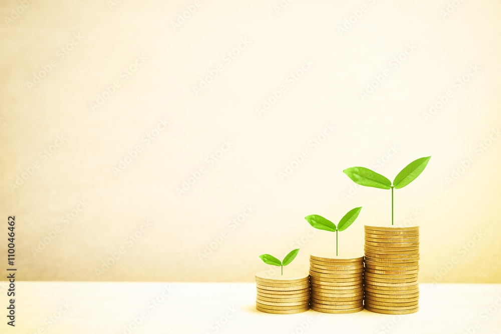 Growing plant on row of coin money for finance and banking concept
Growing plant on row of coin money for finance and banking concept