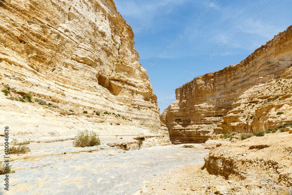 Fototapeta premium Canyon Ein Avdat