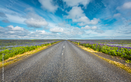Empty asphalt road in South Iceland
