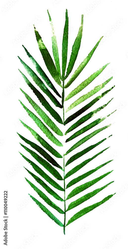 Obraz premium watercolor sketch palm tree branch on a white background