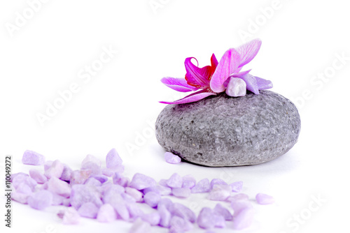 Salt  stone and orchid