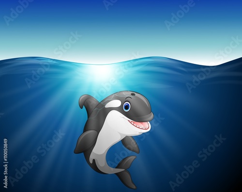 Killer whale cartoon on the sea