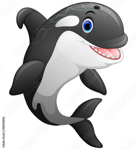 Cute killer whale cartoon