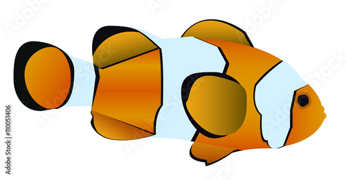 Vector illustration of clownfish
