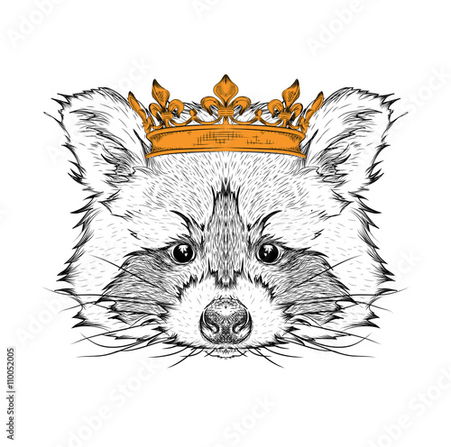Hand draw Image Portrait raccoon  in the crown. Use for print, posters, t-shirts. Hand draw vector illustration