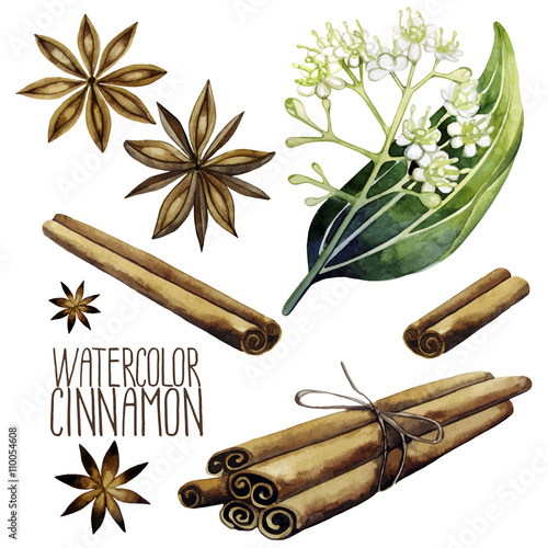 Watercolor cinnamon set 