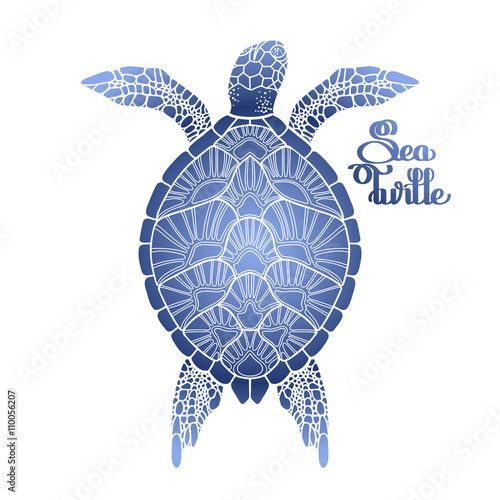 Hawksbill sea turtle