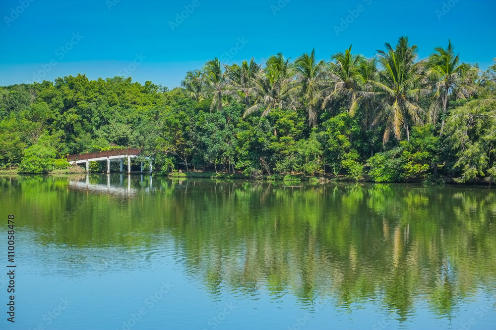 The bridge over the water to nature